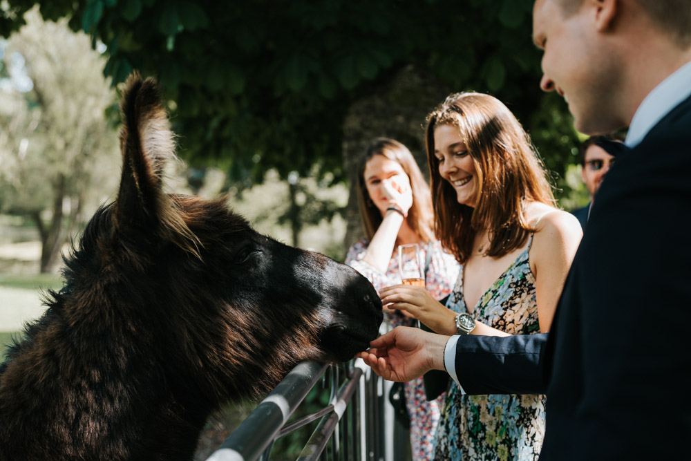 Midsommar Hochzeit mit Stretchzelt auf Gut Neuwerk