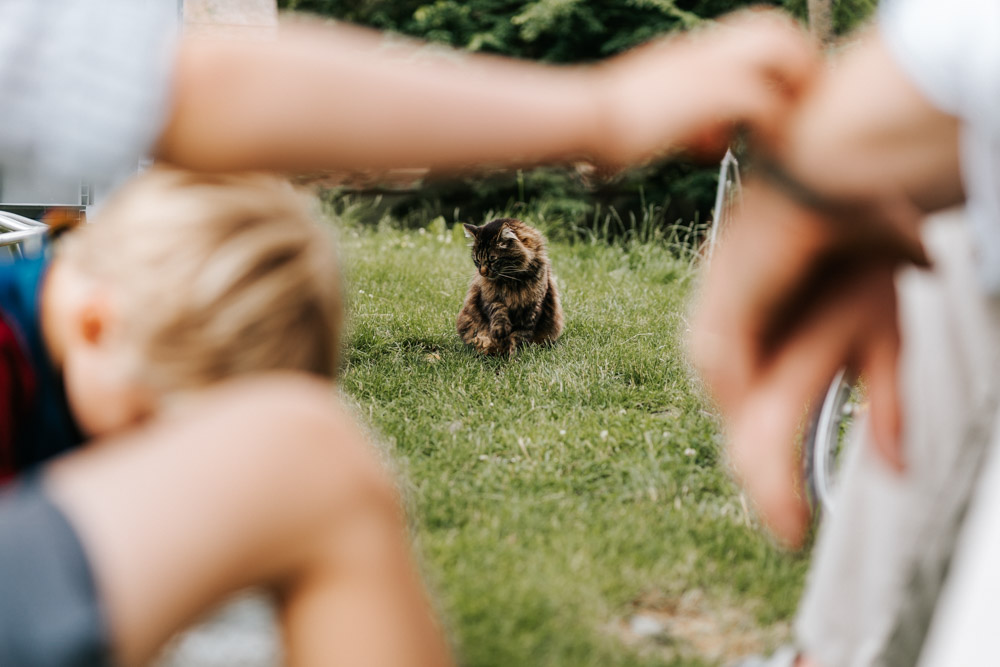 Midsommar Hochzeit mit Stretchzelt auf Gut Neuwerk